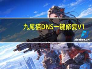 九尾猫DNS一键修复 V1.0 绿色版（九尾猫DNS一键修复 V1.0 绿色版功能简介）