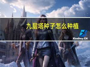 九层塔种子怎么种植