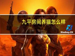 九平房间养猫怎么样