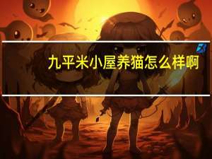 九平米小屋养猫怎么样啊