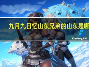 九月九日忆山东兄弟的山东是哪里（九月九日忆山东兄弟  唐 王维）
