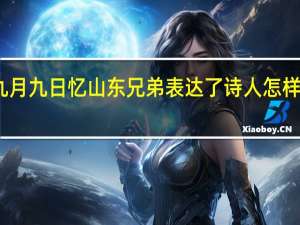 九月九日忆山东兄弟表达了诗人怎样的情感