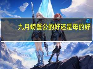 九月螃蟹公的好还是母的好（螃蟹公的好还是母的好）