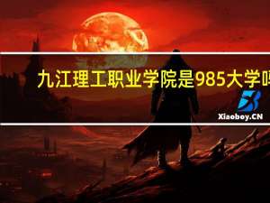 九江理工职业学院是985大学吗