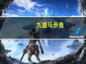 九盛 马步鱼(烧烤味)卡路里是多少