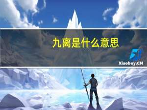 九离是什么意思