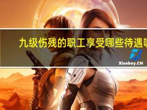 九级伤残的职工享受哪些待遇呢