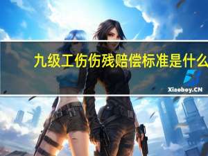 九级工伤伤残赔偿标准是什么