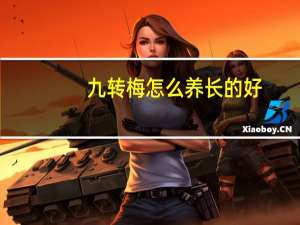 九转梅怎么养长的好