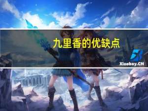 九里香的优缺点