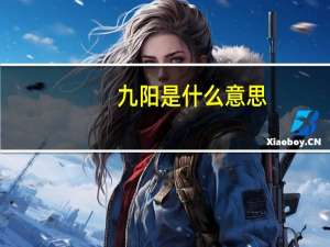 九阳是什么意思