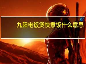 九阳电饭煲快煮饭什么意思