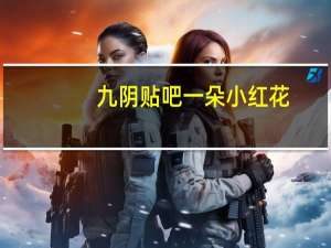九阴贴吧一朵小红花（九阴贴吧）