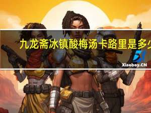 九龙斋 冰镇酸梅汤卡路里是多少