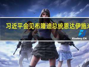 习近平会见布隆迪总统恩达伊施米耶