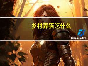 乡村养猫吃什么