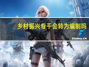 乡村振兴专干会转为编制吗