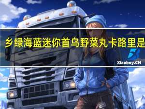 乡绿海蓝 迷你首乌野菜丸卡路里是多少