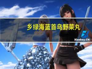 乡绿海蓝 首乌野菜丸(荠菜馅)卡路里是多少