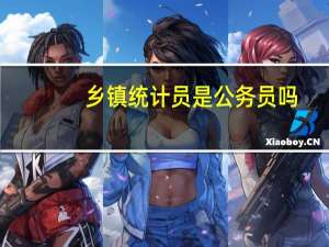 乡镇统计员是公务员吗