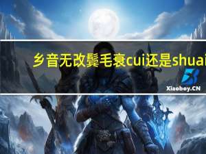 乡音无改鬓毛衰cui还是shuai