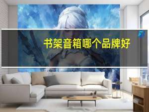 书架音箱哪个品牌好（书架音箱）