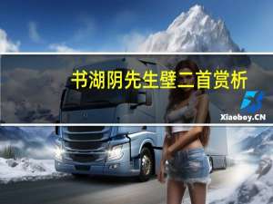 书湖阴先生壁二首赏析（书湖阴先生壁二首）