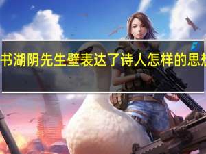 书湖阴先生壁 表达了诗人怎样的思想感情