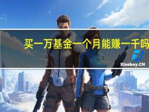 买一万基金一个月能赚一千吗