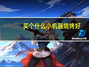 买个什么小机器烧烤好