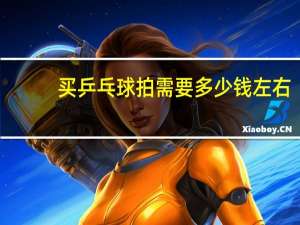 买乒乓球拍需要多少钱左右