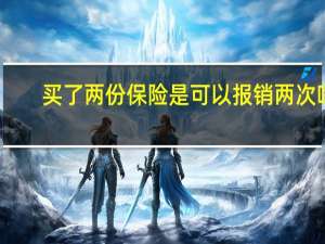 买了两份保险是可以报销两次吗