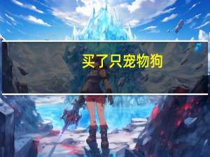 买了只宠物狗