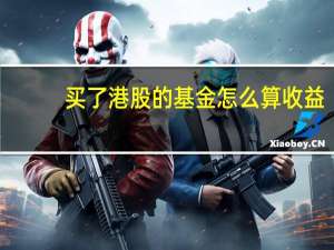 买了港股的基金怎么算收益