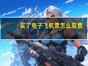 买了电子飞机票怎么取票