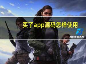 买了app源码怎样使用
