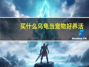 买什么乌龟当宠物好养活