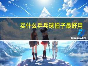买什么乒乓球拍子最好用