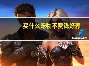 买什么宠物不费钱好养
