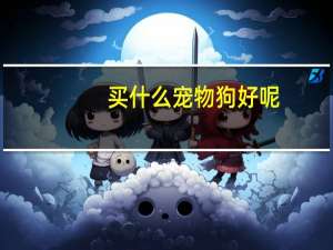 买什么宠物狗好呢