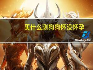 买什么测狗狗怀没怀孕