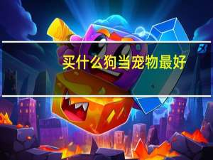 买什么狗当宠物最好