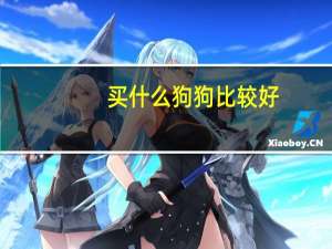 买什么狗狗比较好