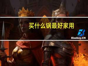 买什么锅最好家用