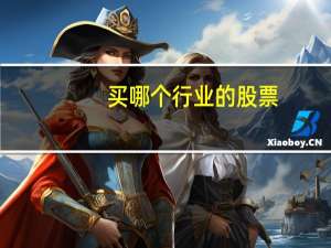 买哪个行业的股票