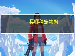 买哪种宠物狗