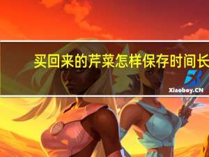 买回来的芹菜怎样保存时间长