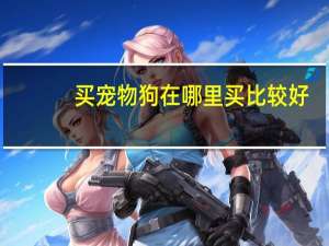 买宠物狗在哪里买比较好