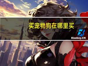 买宠物狗在哪里买