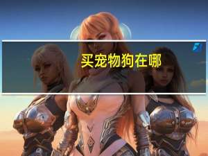 买宠物狗在哪